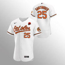 Baltimore Orioles Anthony Santander White 2021 Memorial Day Authentic Jersey