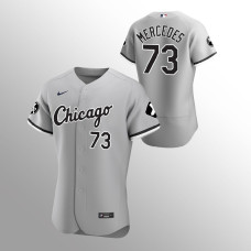 Men's Chicago White Sox Yermin Mercedes MR Patch Gray Authentic Player Jersey
