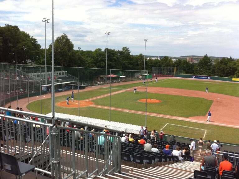 2010 European Baseball Championship final 001