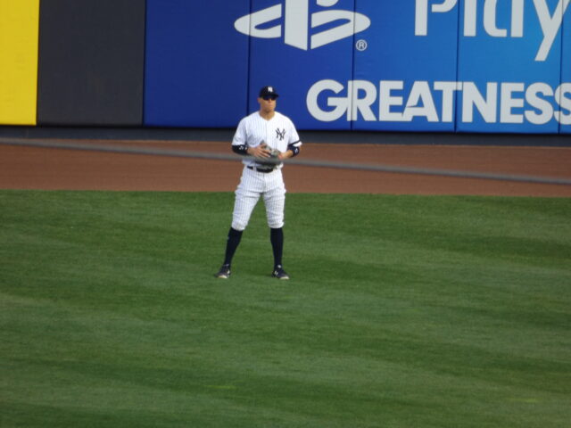 Aaron judge 2017
